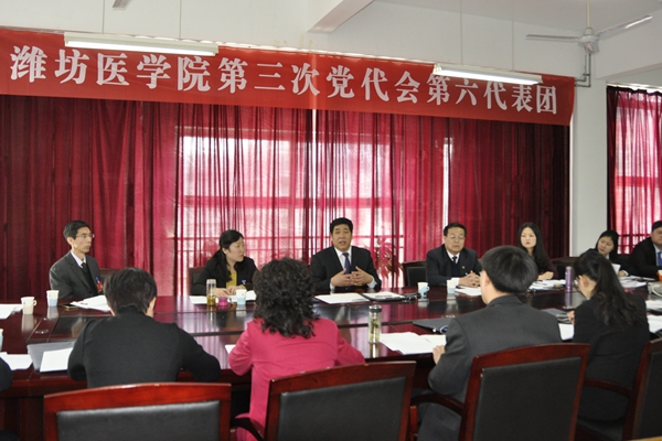 第六代表团