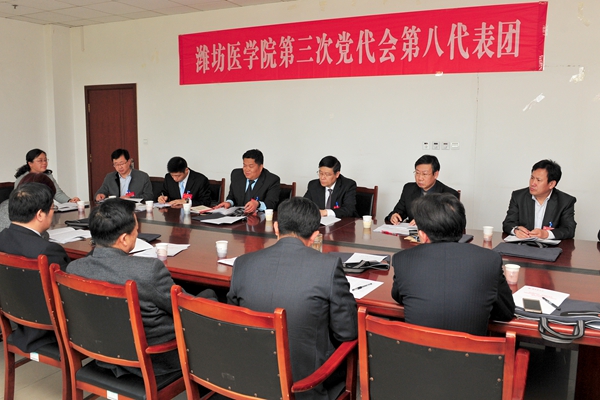 第八代表团